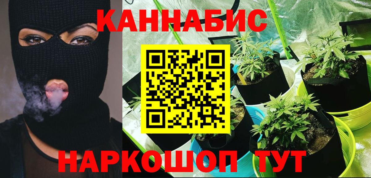 Бошки марихуана марихуана  Шишки марихуана планчик  Вход с VPN  Семилуки 